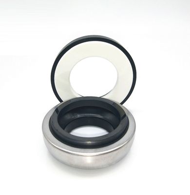 Burgmann 301-60 BT-AR-60 Rubber Bellow 60mm Mechanical Seal