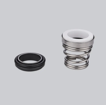 Mechanical Seal 155 Burgmann BT-FN Replace AESSEAL T04 And Roten 3 Seal