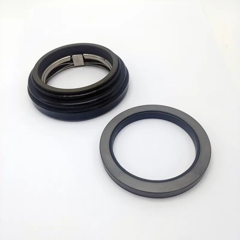 Ipso Hf 65 Accel Seal Ax5 or Ax05 Washing Machine Seal for Guilliver Garlock Alliance Primus Lavamac Counterface Gcs Gw Gulliver Grandimpianti