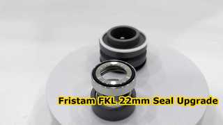 Découvrez pourquoi choisir le joint mécanique SIC SIC FKM 22MM adapté à la pompe Fristam FKL